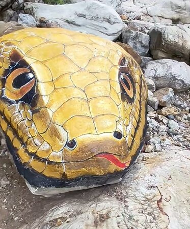 Đầu 'con trăn' khổng lồ nhô lên giữa dòng suối, khách du lịch hoảng loạn vì sợ hãi Ảnh 3