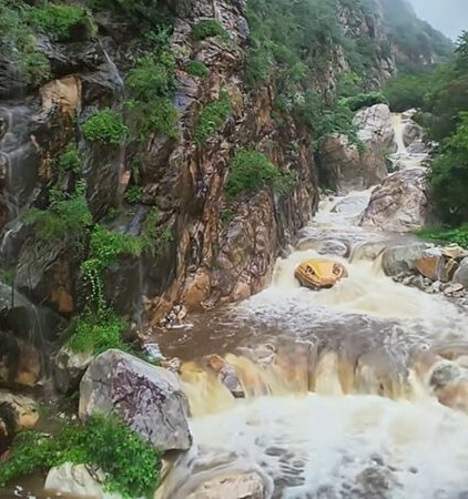 Đầu 'con trăn' khổng lồ nhô lên giữa dòng suối, khách du lịch hoảng loạn vì sợ hãi Ảnh 1