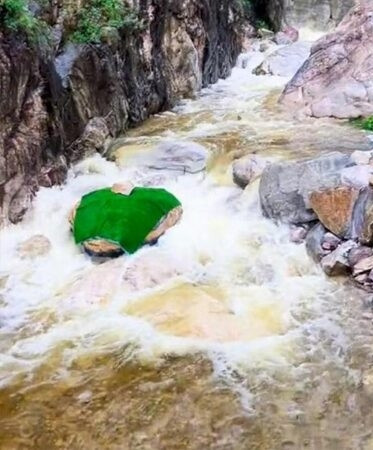 Đầu 'con trăn' khổng lồ nhô lên giữa dòng suối, khách du lịch hoảng loạn vì sợ hãi Ảnh 4