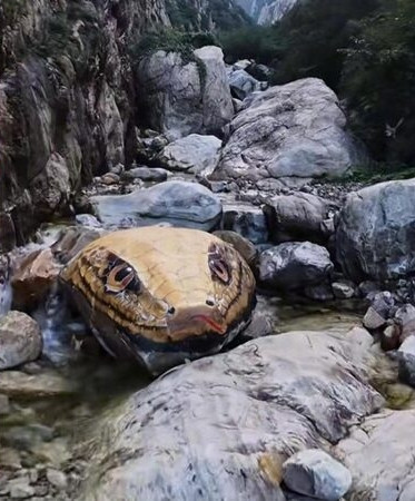 Đầu 'con trăn' khổng lồ nhô lên giữa dòng suối, khách du lịch hoảng loạn vì sợ hãi Ảnh 2