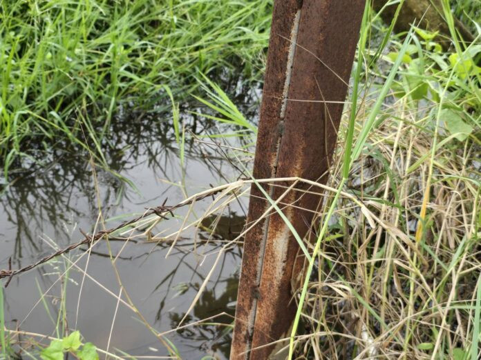 Hai vợ chồng đi ra đồng bắt cá, được hàng xóm tìm thấy trong tình trạng thương tâm Ảnh 5