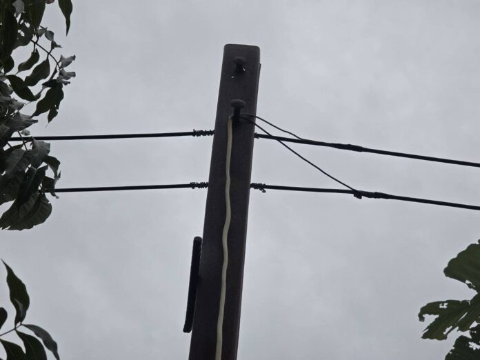 Hai vợ chồng đi ra đồng bắt cá, được hàng xóm tìm thấy trong tình trạng thương tâm Ảnh 4