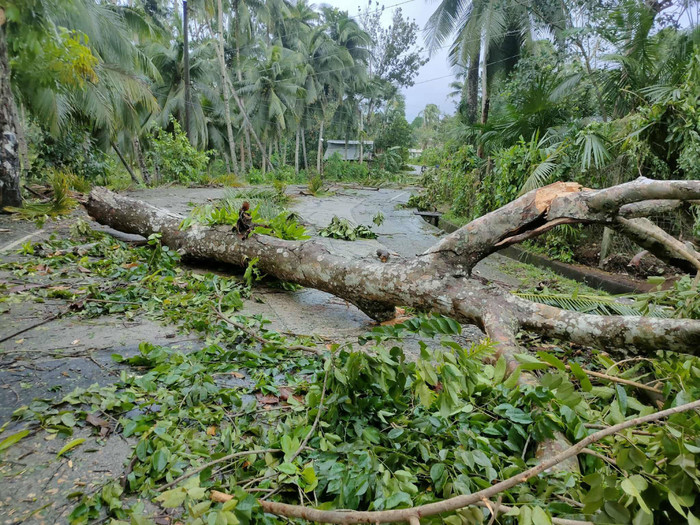 Cơn bão làm đổ xuống rất nhiều cây cối, gây cản trở lớn dọc các tuyến đường và cao tốc trong khu vực. (Nguồn: WPAC) 