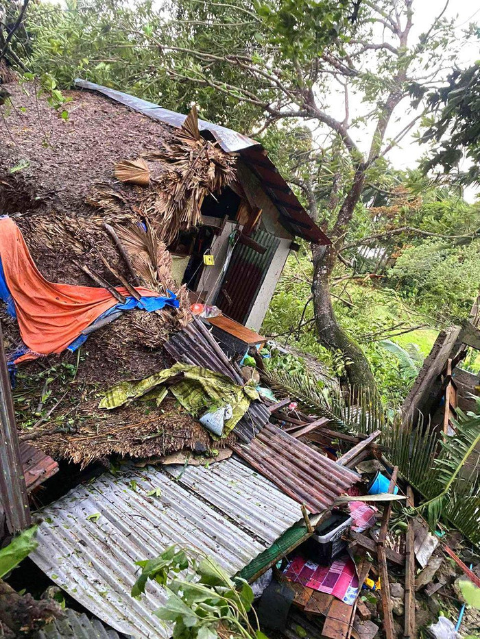 Gió mạnh đã làm đổ cây cối và mái tôn. (Nguồn: WPAC) 