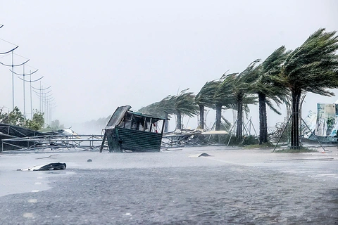 Người dân cần theo dõi bản tin thời tiết thường xuyên để phòng tránh ảnh hưởng của bão. Ảnh minh hoạ/Nguồn: Báo Tuổi Trẻ