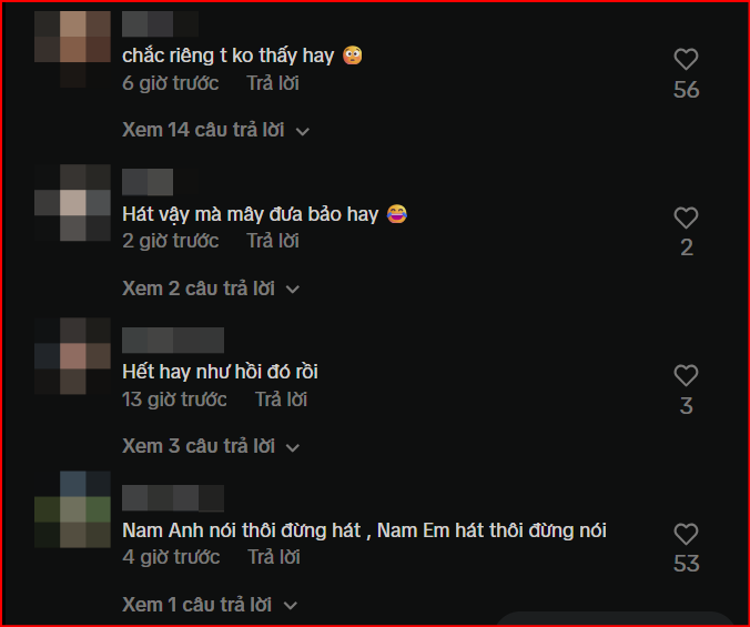 Nam Anh - Nam Em gây tranh cãi Ảnh 2