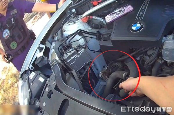 Nghe tiếng kêu bên trong khoang động cơ, chủ xe hoảng hốt gọi cảnh sát Ảnh 1