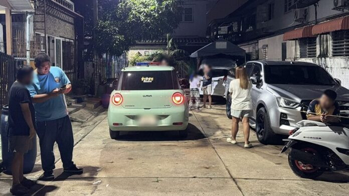 Mèo nuôi liên tục bị cắn chết, người dân bàng hoàng khi xem camera ghi lại hung thủ Ảnh 3