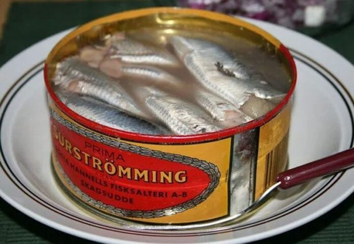 Thử ăn món ăn thối nhất thế giới, nam thanh niên nhận cái kết khó đỡ Ảnh 1