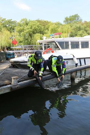 Du khách sốc khi thấy 'cá mập' xuất hiện giữa hồ, sự thật khiến nhiều người xôn xao Ảnh 4