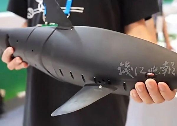 Du khách sốc khi thấy 'cá mập' xuất hiện giữa hồ, sự thật khiến nhiều người xôn xao Ảnh 2