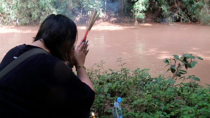 Clip: 'Con rắn' khổng lồ lấp ló bên bờ sông khiến cộng đồng mạng rùng mình Ảnh 3