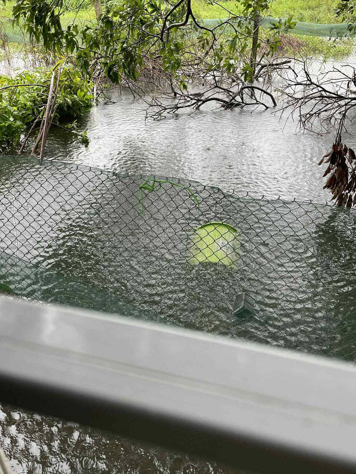 Mưa lớn gây ngập úng nhiều nơi. Ảnh do người dân cung cấp