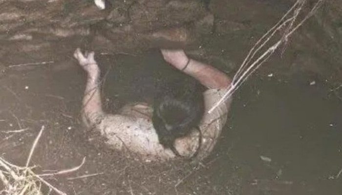 Người phụ nữ rớt xuống giếng nước bỏ hoang đầy rắn, được giải cứu sau hơn 2 ngày tuyệt vọng Ảnh 1