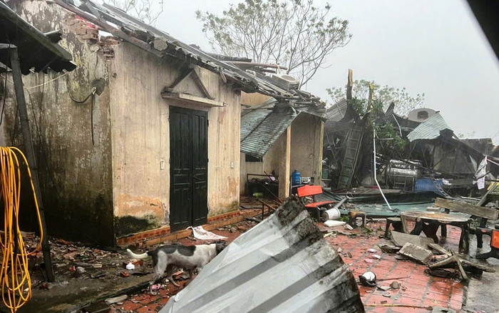Thiệt hại lớn tại nhiều địa phương. Ảnh: Báo Nhân Dân