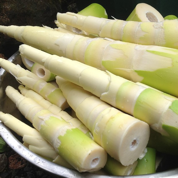 3 món ăn cực độc cho sức khoẻ nhưng người Việt rất chuộng trong mâm cơm hằng ngày Ảnh 1