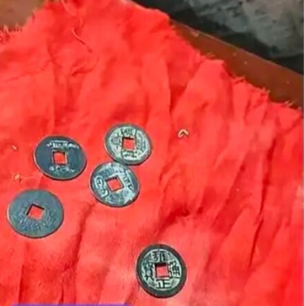 Chó nuôi liên tục có biểu hiện lạ khi về nhà mới, người chủ đào sàn nhà lên thì thấy cảnh tượng bất ngờ Ảnh 3