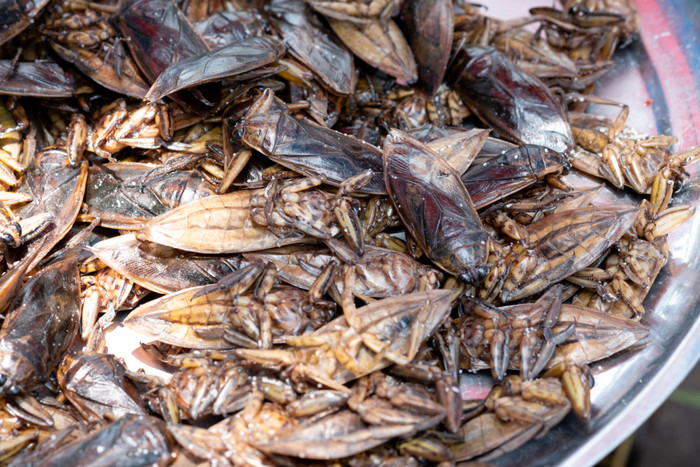 Những món ăn từ côn trùng ở quê hương nữ trọng tài Lào Ảnh 8