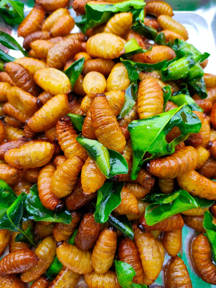 Những món ăn từ côn trùng ở quê hương nữ trọng tài Lào Ảnh 7