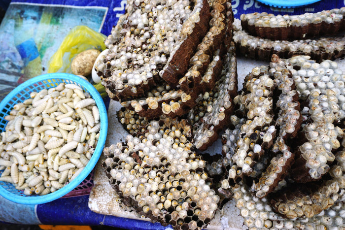 Những món ăn từ côn trùng ở quê hương nữ trọng tài Lào Ảnh 5