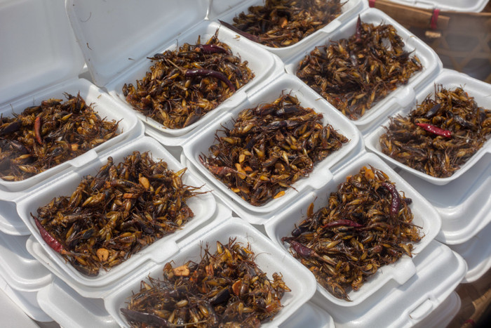 Những món ăn từ côn trùng ở quê hương nữ trọng tài Lào Ảnh 3