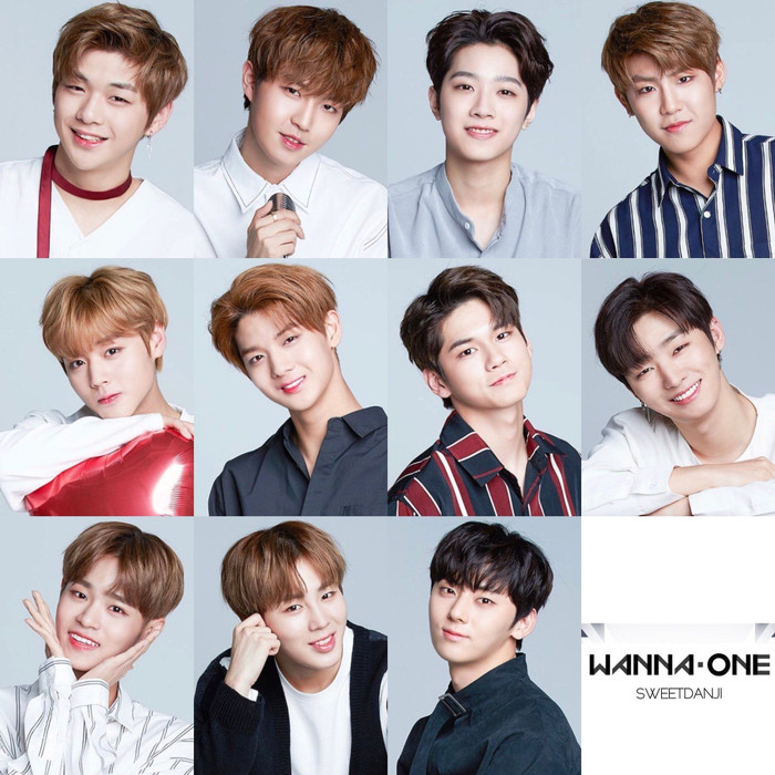 Wanna One tái hợp Ảnh 3