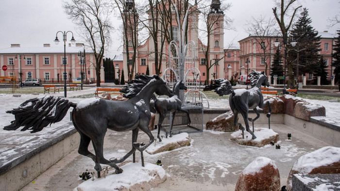 Vào ngày 1 tháng 1 năm 2026, sáu thị trấn của Ba Lan sẽ được nâng cấp lên thành phố. Ảnh: PAP/Wojtek Jargiło