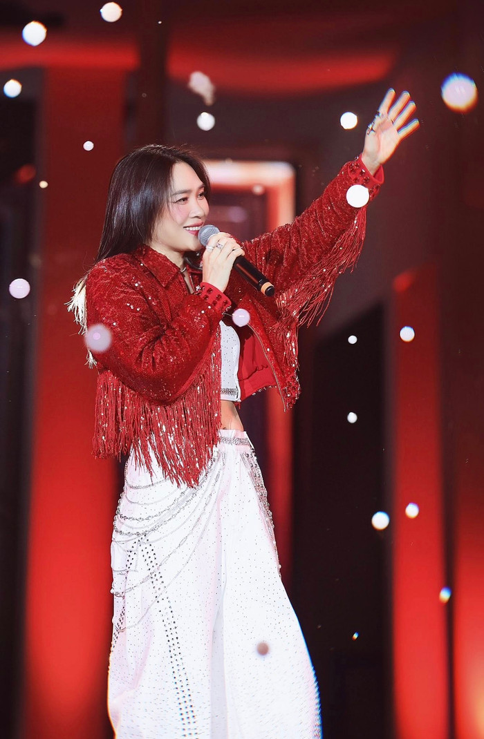 Mỹ Tâm gặp sự cố trước hàng nghìn khán giả Ảnh 3
