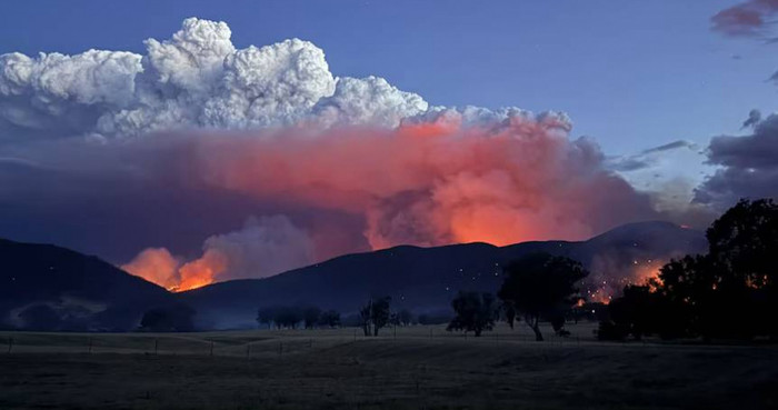 Cháy rừng tại Úc: Hơn 130 công trình bị thiêu rụi, 40.000 hộ dân mất điện Ảnh 1