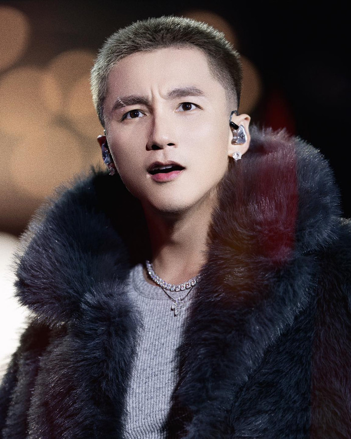 Hồ Ngọc Hà chia sẻ về Sơn Tùng trên sân khấu, hàng nghìn khán giả vỡ òa Ảnh 4