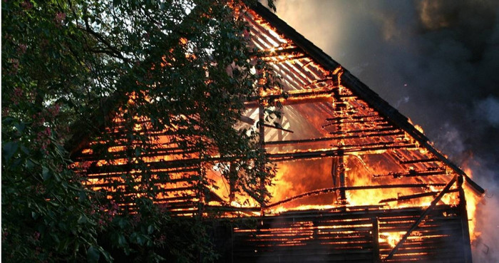 Người phụ nữ mang túi vải màu đen đến ngân hàng cầu cứu, nhân viên xót xa khi mở ra kiểm tra Ảnh 1