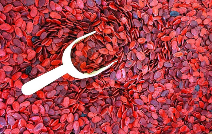 Loại hạt được nhuộm màu không rõ nguồn gốc sẽ gây hại cho sức khoẻ. Ảnh minh hoạ