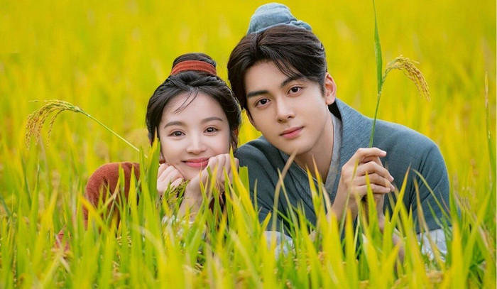 10 phim chữa lành Trung Quốc: Phim Của Lưu Diệc Phi Đạt Tỉ View Ảnh 10