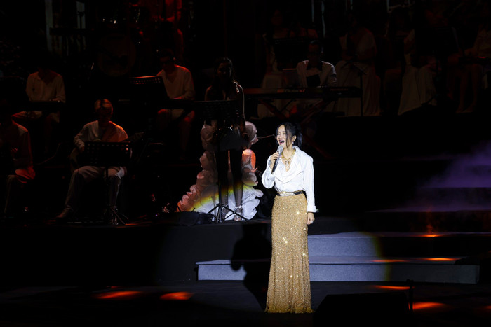 Giọng hát diva Hồng Nhung ra sao hậu xạ trị ung thư? Ảnh 3