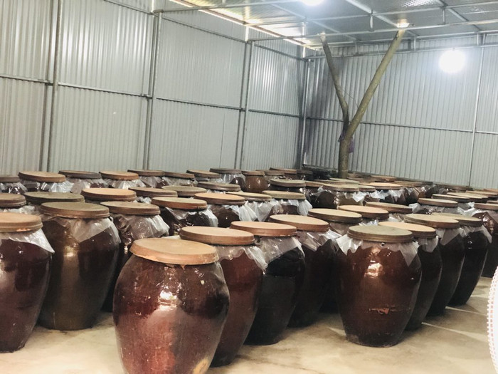 Những chum ủ rượu.