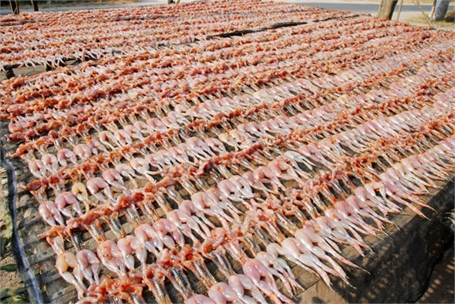 Công đoạn phơi nắng đóng vai trò quan trọng với món ăn này. (Ảnh minh họa từ Internet)