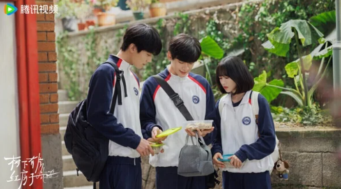 Không khí tuổi trẻ trong trẻo của Dưới Tán Cây Có Ngôi Nhà Mái Đỏ, bộ phim chinh phục khán giả bằng cảm xúc đời thường