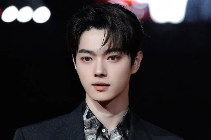 Sau khi nổi tiếng nhờ Diên Hi Công Lược, Hứa Khải liên tục đảm nhận vai chính, trở thành một trong những gương mặt hoạt động năng suất nhất của lứa 95. Dù chất lượng phim không đồng đều, sức nóng của anh vẫn rất cao.