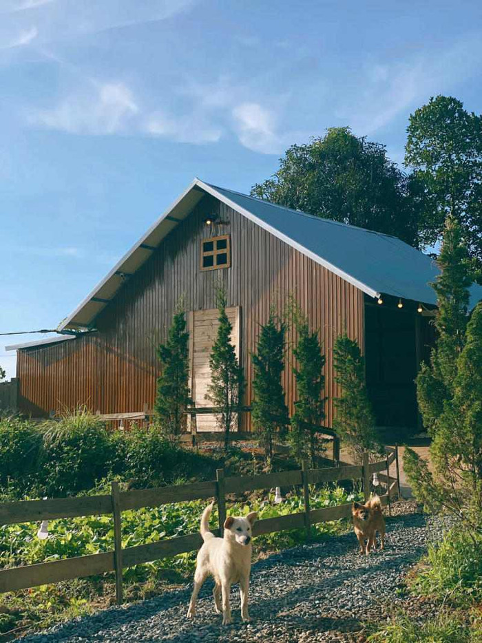 Những điểm đến yên bình cho người ngại chen chúc trong dịp Tết này Ảnh 5