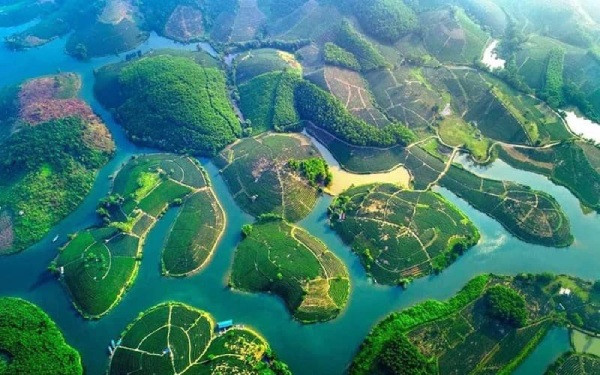 Vẻ đẹp tại đảo chè Thanh Chương nhìn từ trên cao.