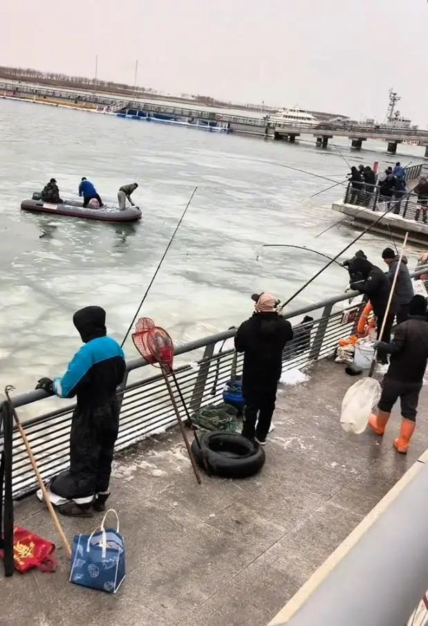 Xôn xao hàng loạt con cá bị 'đóng băng' dưới dòng nước, người dân kéo nhau đến vớt 'chiến lợi phẩm' Ảnh 2
