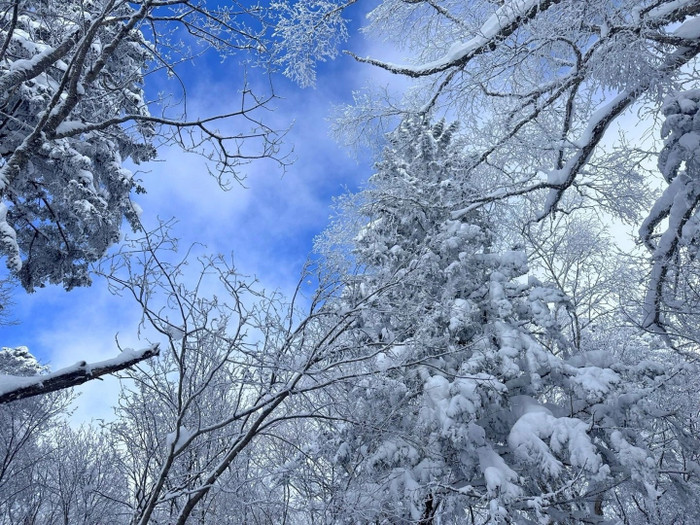 Ảnh minh họa&nbsp;