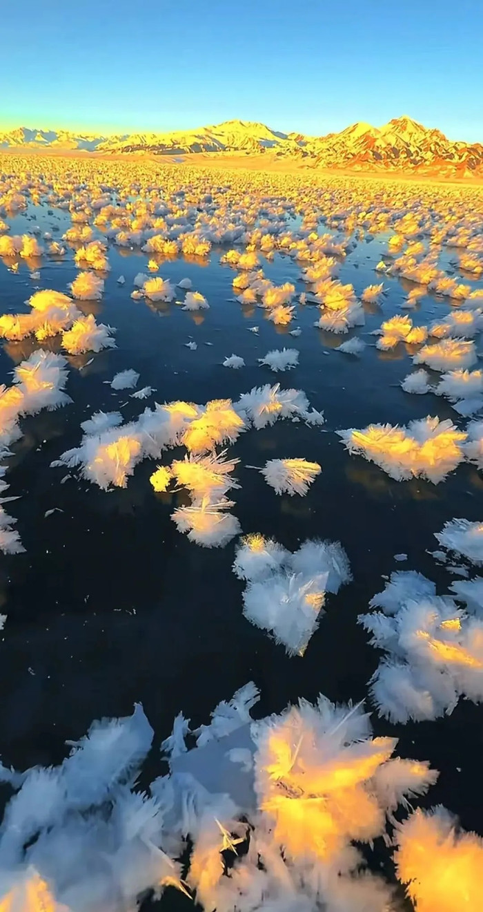 Hồ nước bỗng xuất hiện cảnh tượng hiếm gặp, gây sốt mạng xã hội Ảnh 2