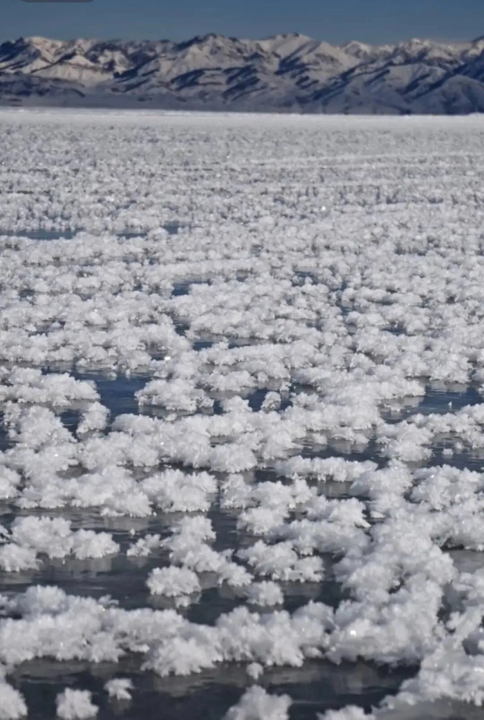 Hồ nước bỗng xuất hiện cảnh tượng hiếm gặp, gây sốt mạng xã hội Ảnh 1