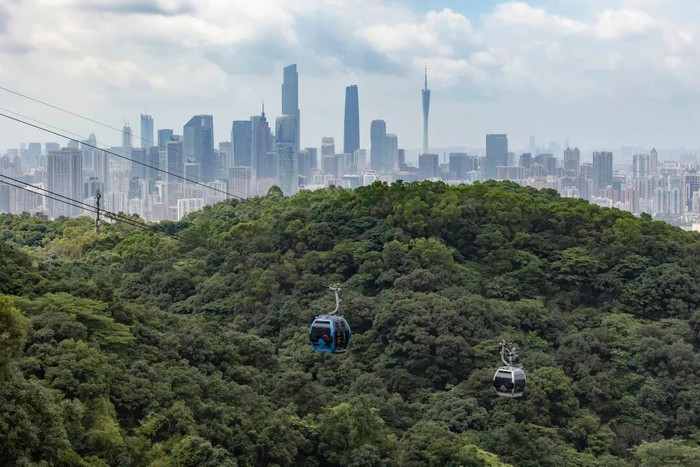 Nữ du khách bất ngờ 'gặp nạn' khi đi leo núi, cảnh tượng khiến ai nhìn thấy cũng rùng mình Ảnh 2