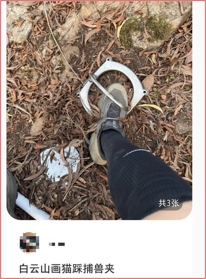 Nữ du khách bất ngờ 'gặp nạn' khi đi leo núi, cảnh tượng khiến ai nhìn thấy cũng rùng mình Ảnh 1