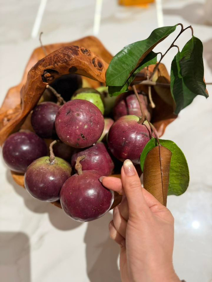 Mỹ Tâm khoe vú sữa căng bóng thu hoạch ở vườn nhà.&nbsp;