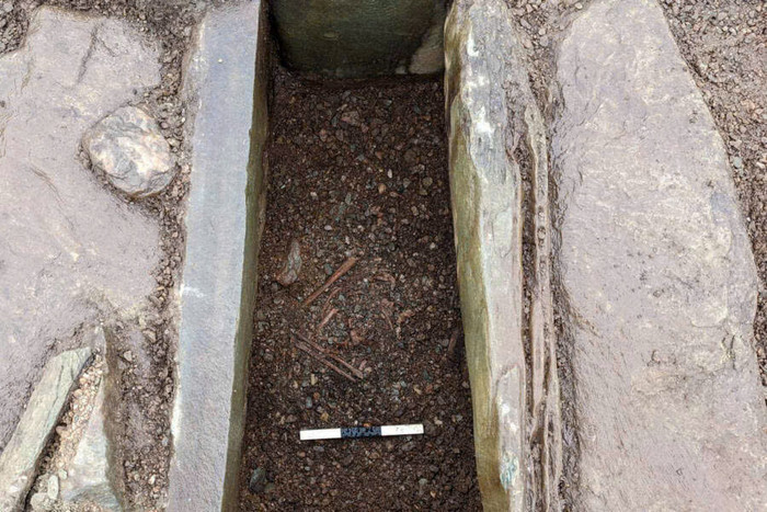 Đang cày ruộng, người nông dân đào trúng thứ gây 'ám ảnh' chôn dưới đất Ảnh 3