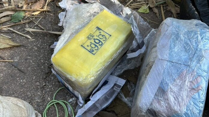 Phát hiện bao tải lạ dưới chân cột điện, người dân bàng hoàng khi mở ra Ảnh 3