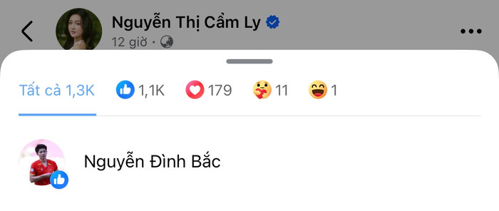 Khoảnh khắc Đình Bắc thả like bài đăng mới nhất của Á hậu Cẩm Ly khiến dân tình thích thú.